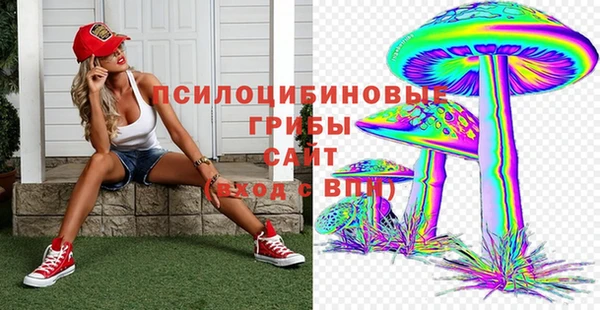 СК Алзамай