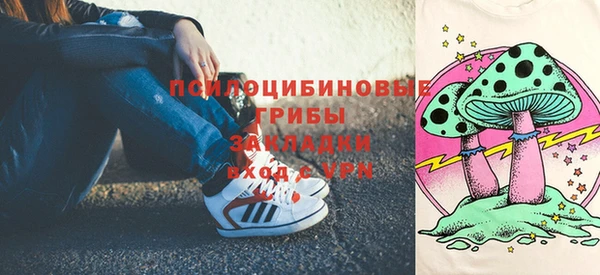 СК Алзамай