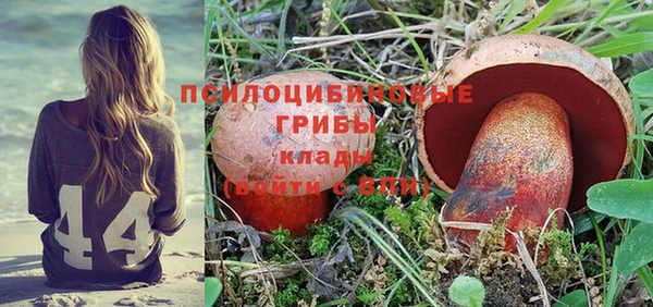 прущие грибы Алексеевка