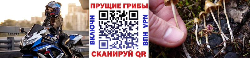 Галлюциногенные грибы мухоморы наркотики Бокситогорск